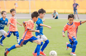 2026年国际足联世界杯 体育工程如何应对自然灾害对运动场地的影响？